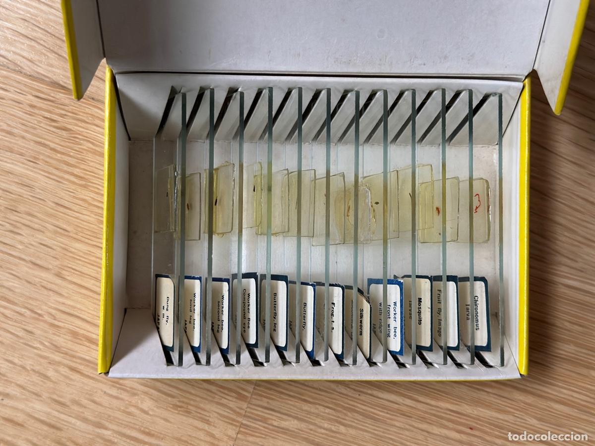 Juegos educativos: CAJA DE MICRO DIAPOSITIVAS, 12 MUESTRAS.SCOPE. - Foto 4