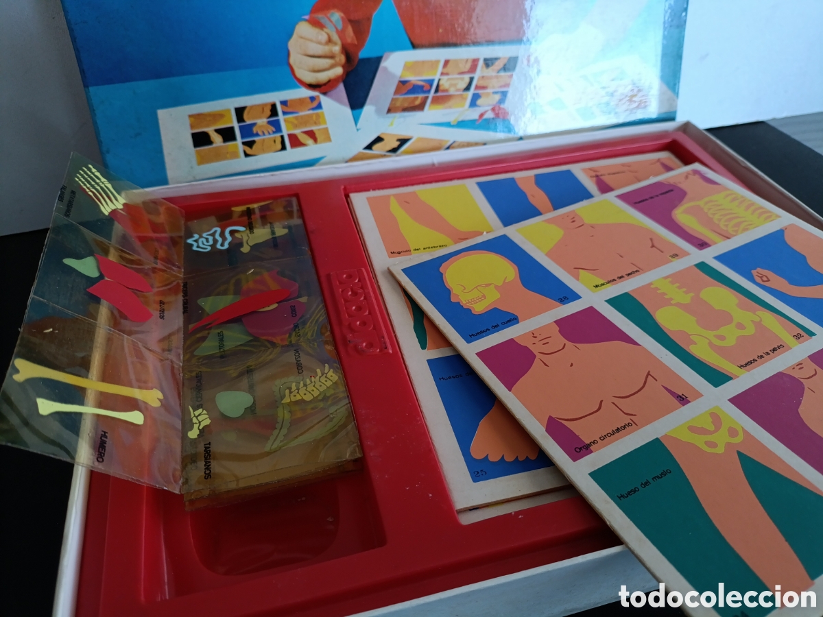 Juegos educativos: Loto de Nuestro Cuerpo. - Foto 2