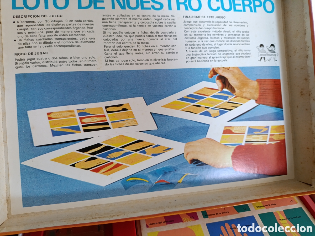 Juegos educativos: Loto de Nuestro Cuerpo. - Foto 4