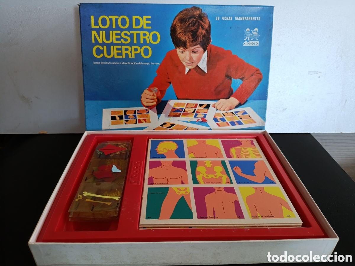 Juegos educativos: Loto de Nuestro Cuerpo. - Foto 1