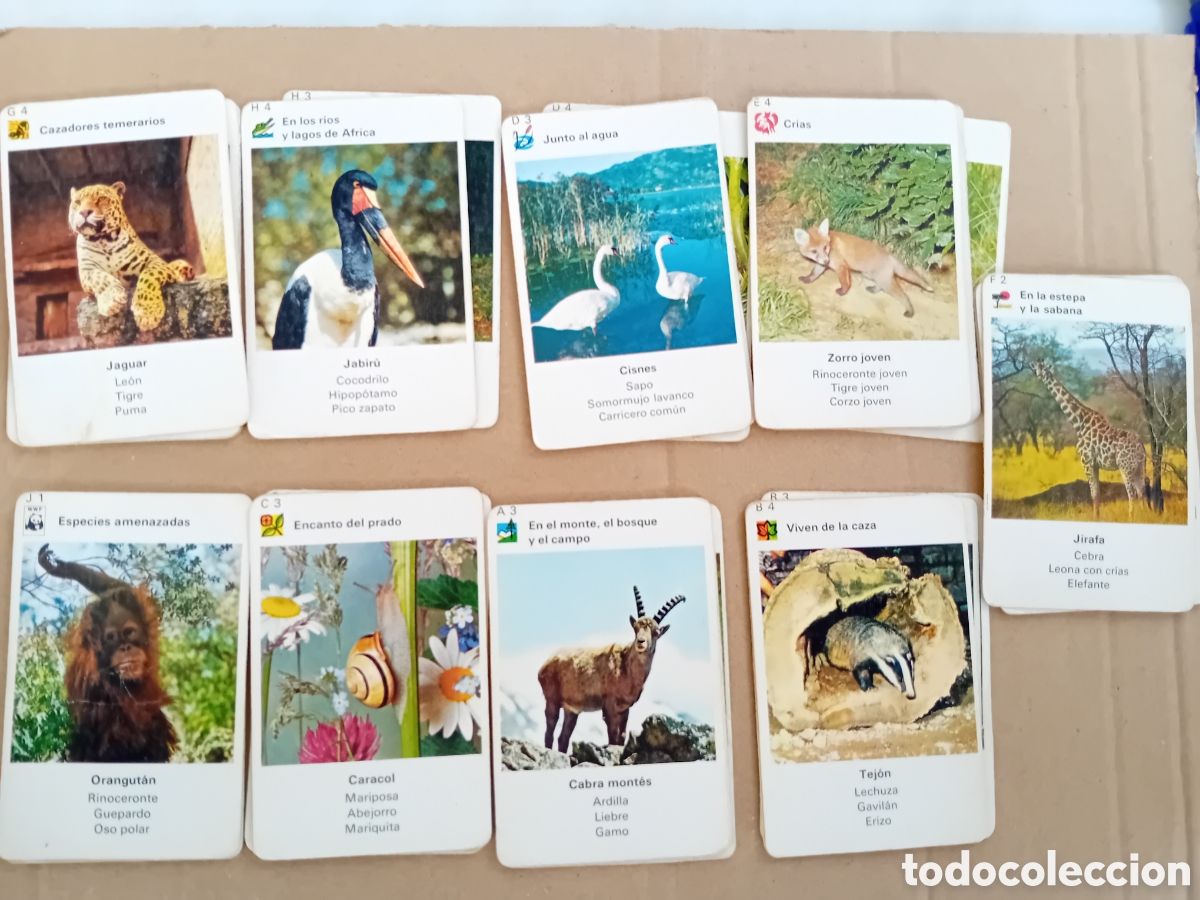 Juegos educativos: Antiguo juego el cuarteto del zoo educa - Foto 3