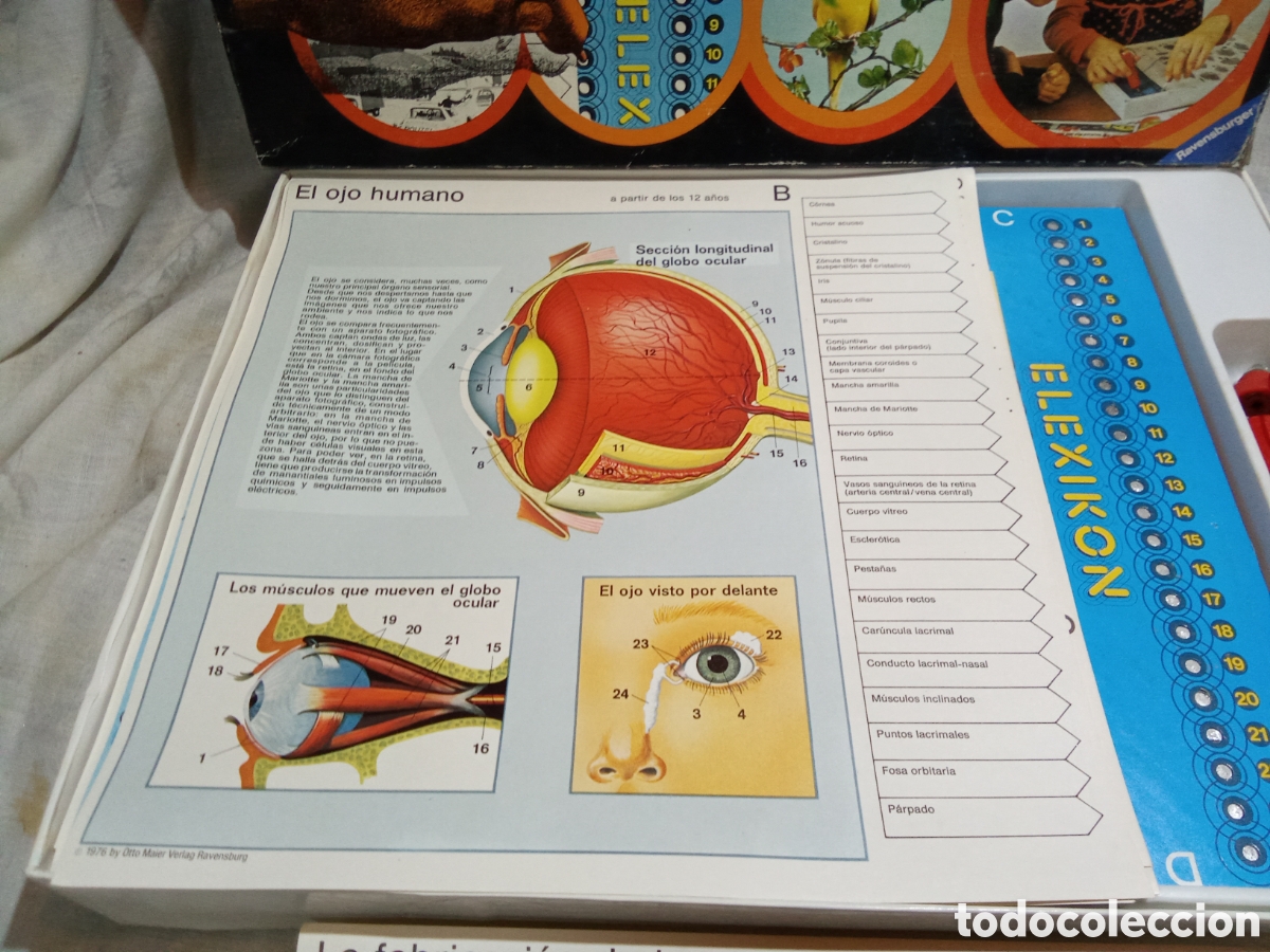 Juegos educativos: ELEXICON DE JUEGOS EDUCA - Foto 3