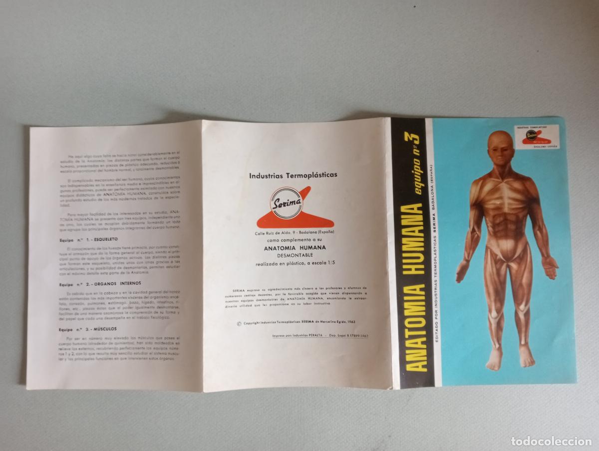 Juegos educativos: Anatom&iacute;a humana Serima - Foto 16