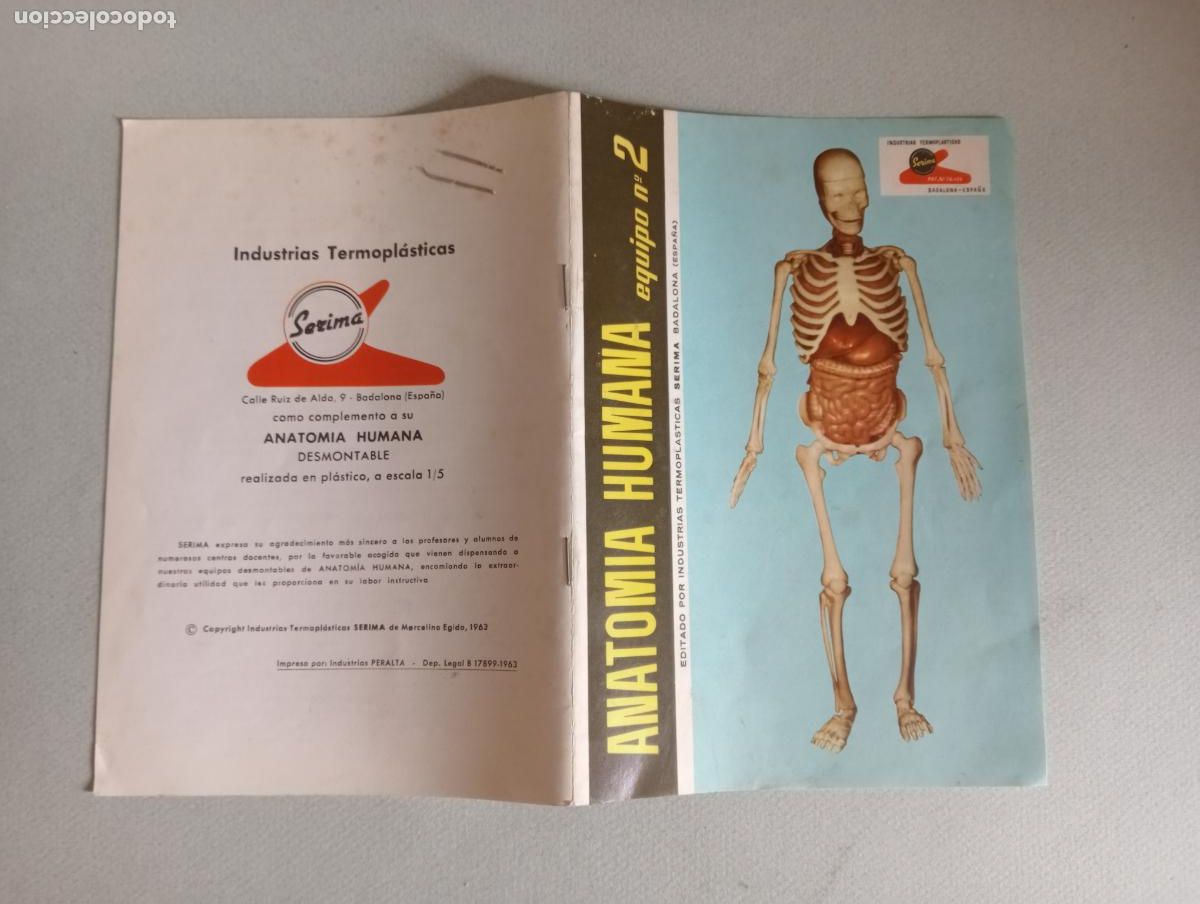 Juegos educativos: Anatom&iacute;a humana Serima - Foto 19