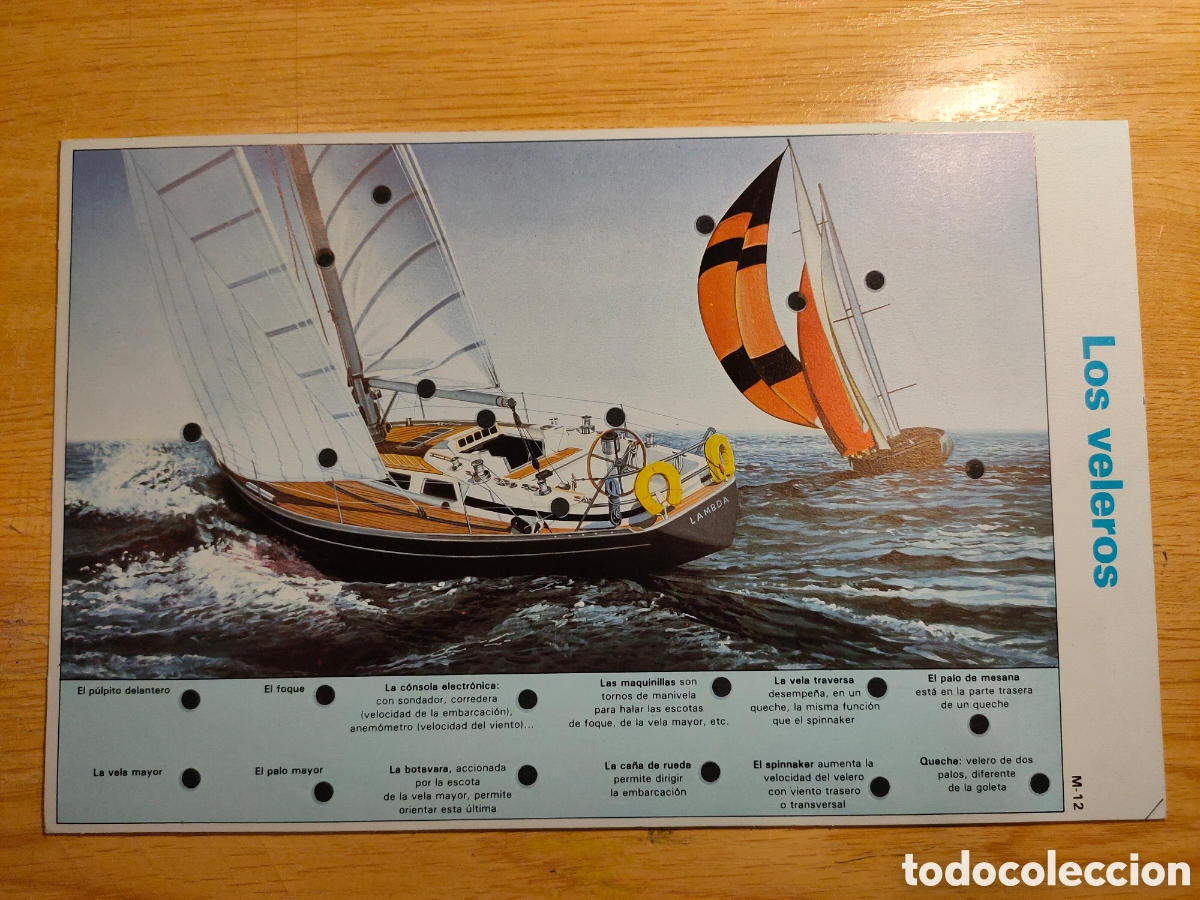 Juegos educativos: El dedo sabio Cousteau Educa - Foto 2