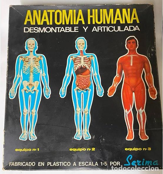 Juegos educativos: Anatomia Humana. Serimar. 1970s - Foto 1