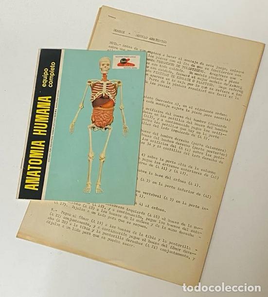 Juegos educativos: Anatomia Humana. Serimar. 1970s - Foto 5