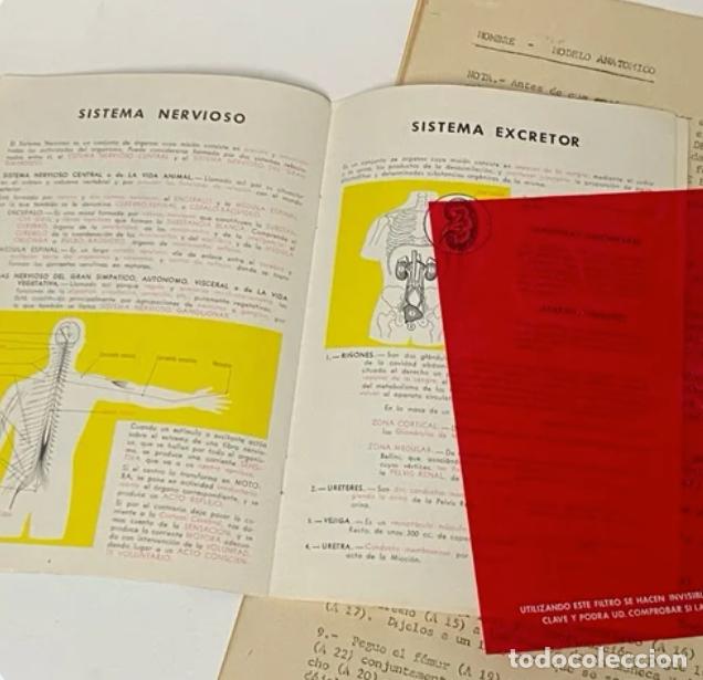 Juegos educativos: Anatomia Humana. Serimar. 1970s - Foto 6