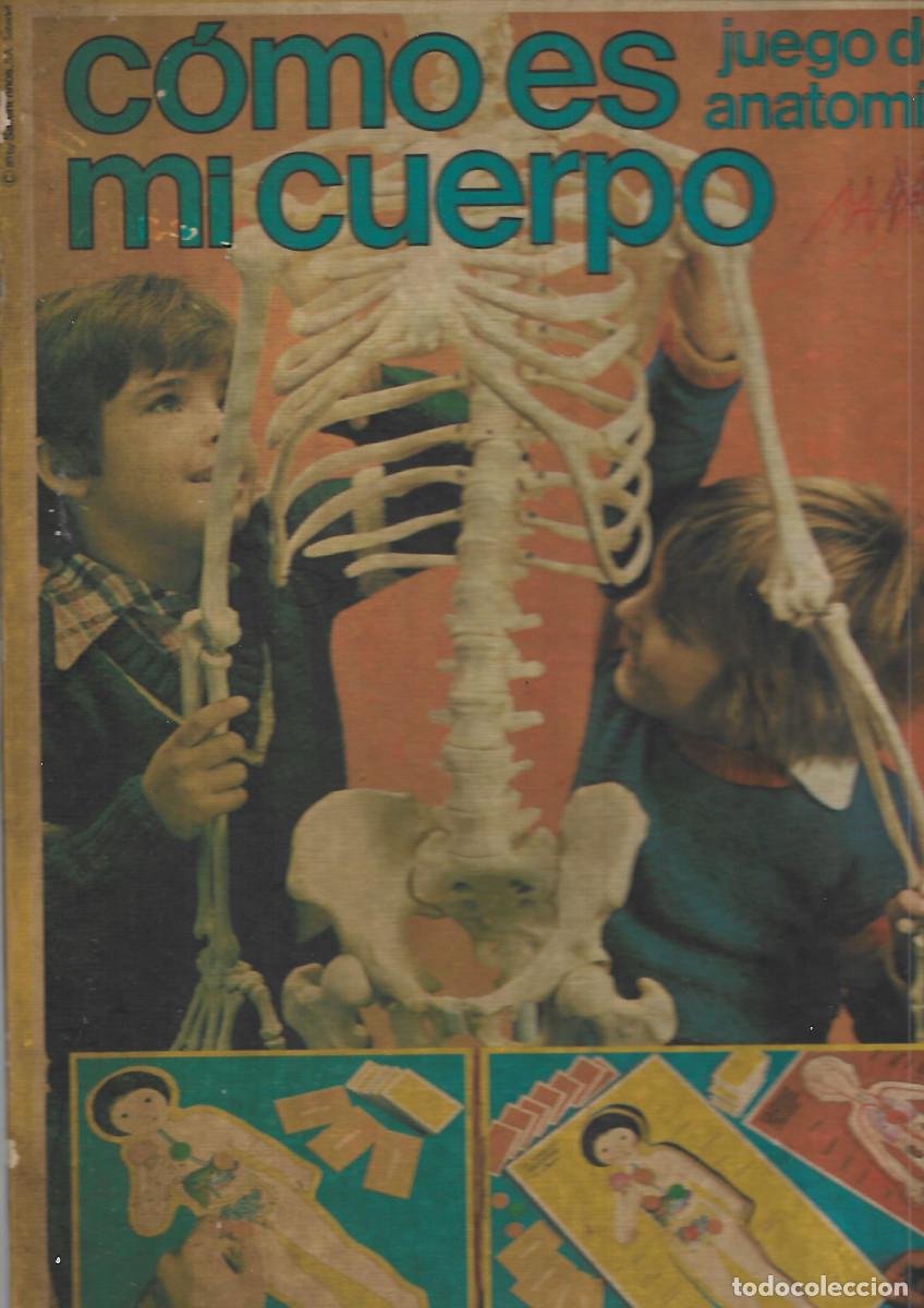 Juegos educativos: JUEGO DE ANATOMIA USADO PERO BIEN - Foto 1