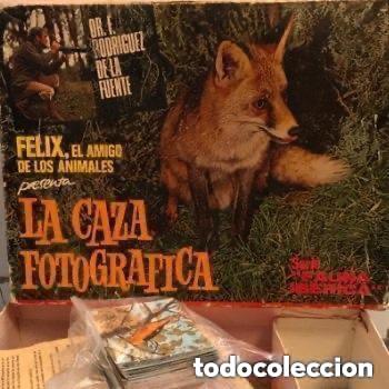Giochi educativi: La caza fotogr&aacute;fica F&eacute;lix Rodr&iacute;guez de la Fuente. Serie Fauna Ib&eacute;rica. Felp