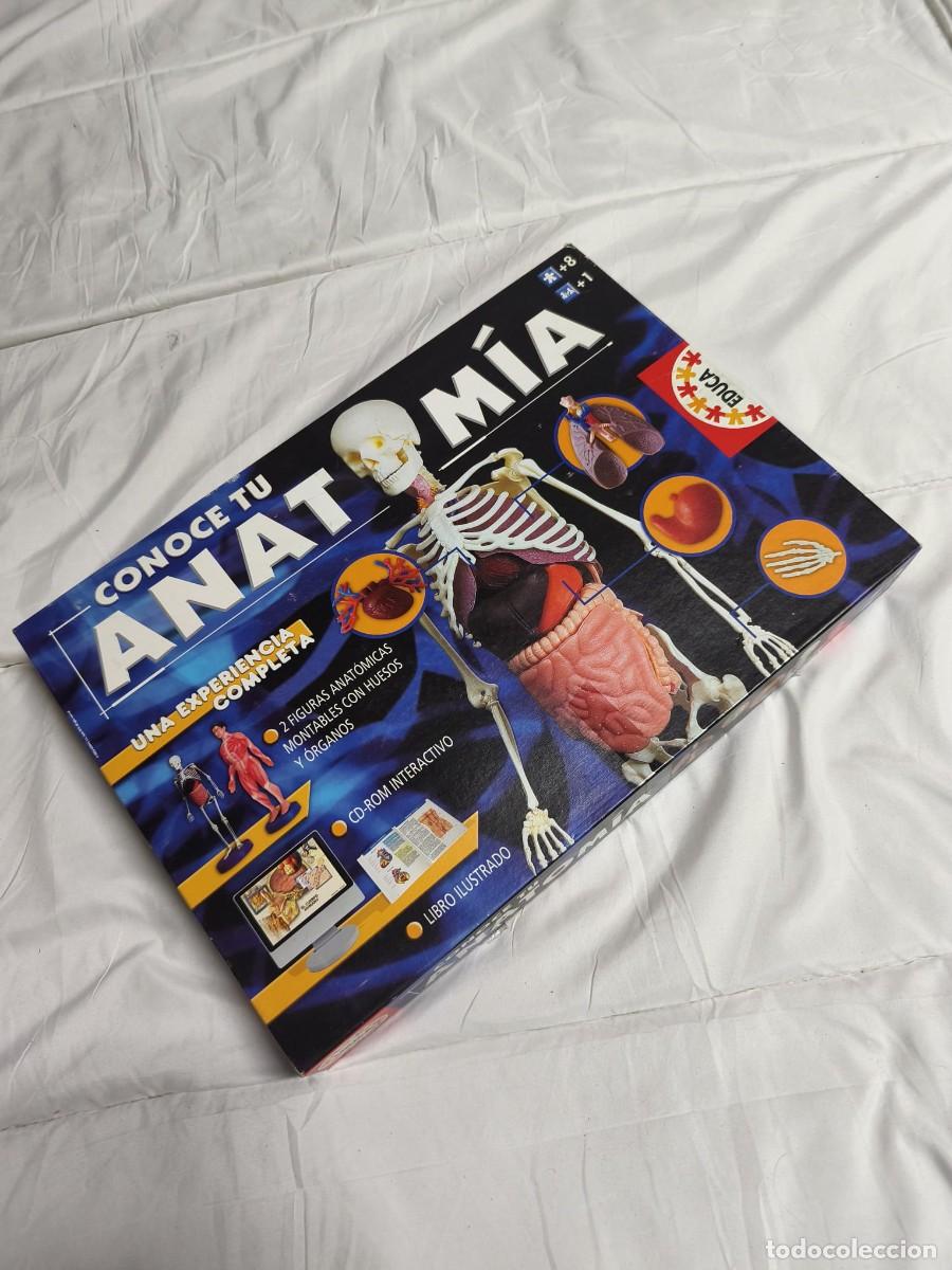 Juegos educativos: Conoce tu Anatom&iacute;a. Educa . Caja original - Foto 1