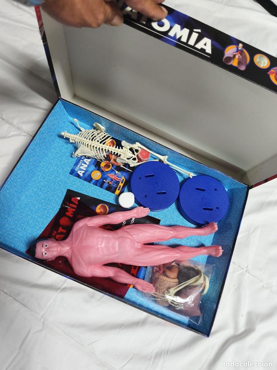 Juegos educativos: Conoce tu Anatom&iacute;a. Educa . Caja original - Foto 3