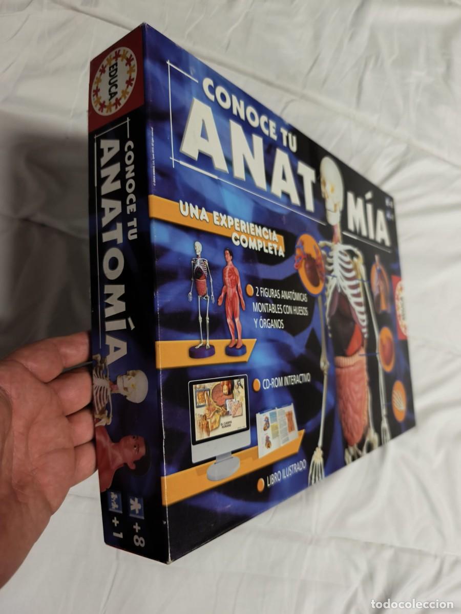 Juegos educativos: Conoce tu Anatom&iacute;a. Educa . Caja original - Foto 4