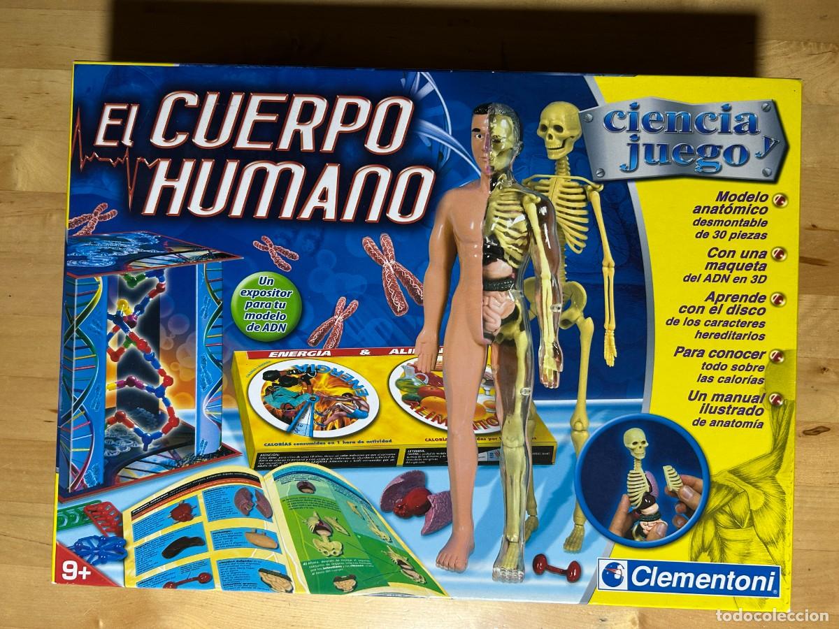 Juegos educativos: El Cuerpo Humano de Clementoni - Foto 1