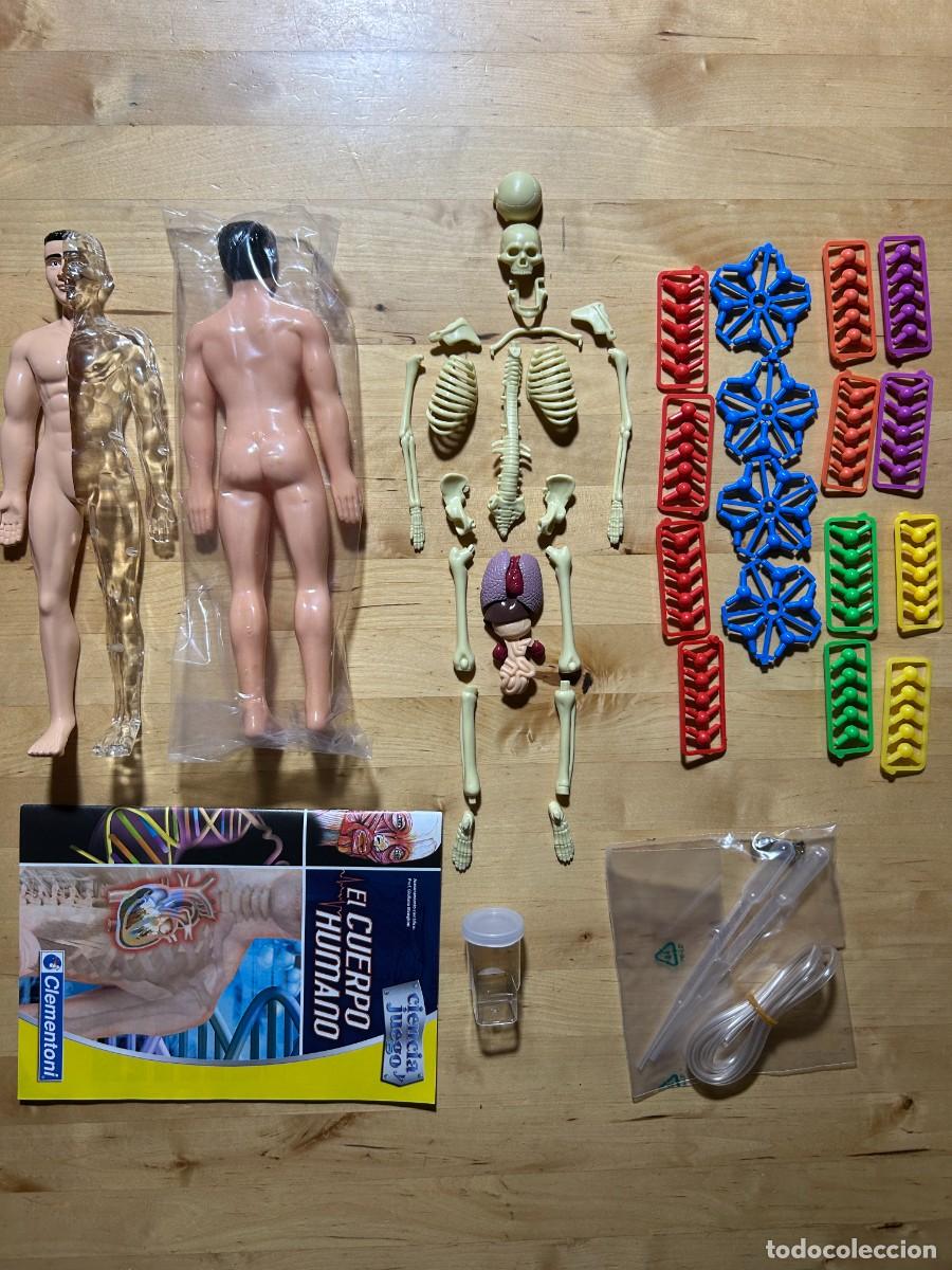 Juegos educativos: El Cuerpo Humano de Clementoni - Foto 3