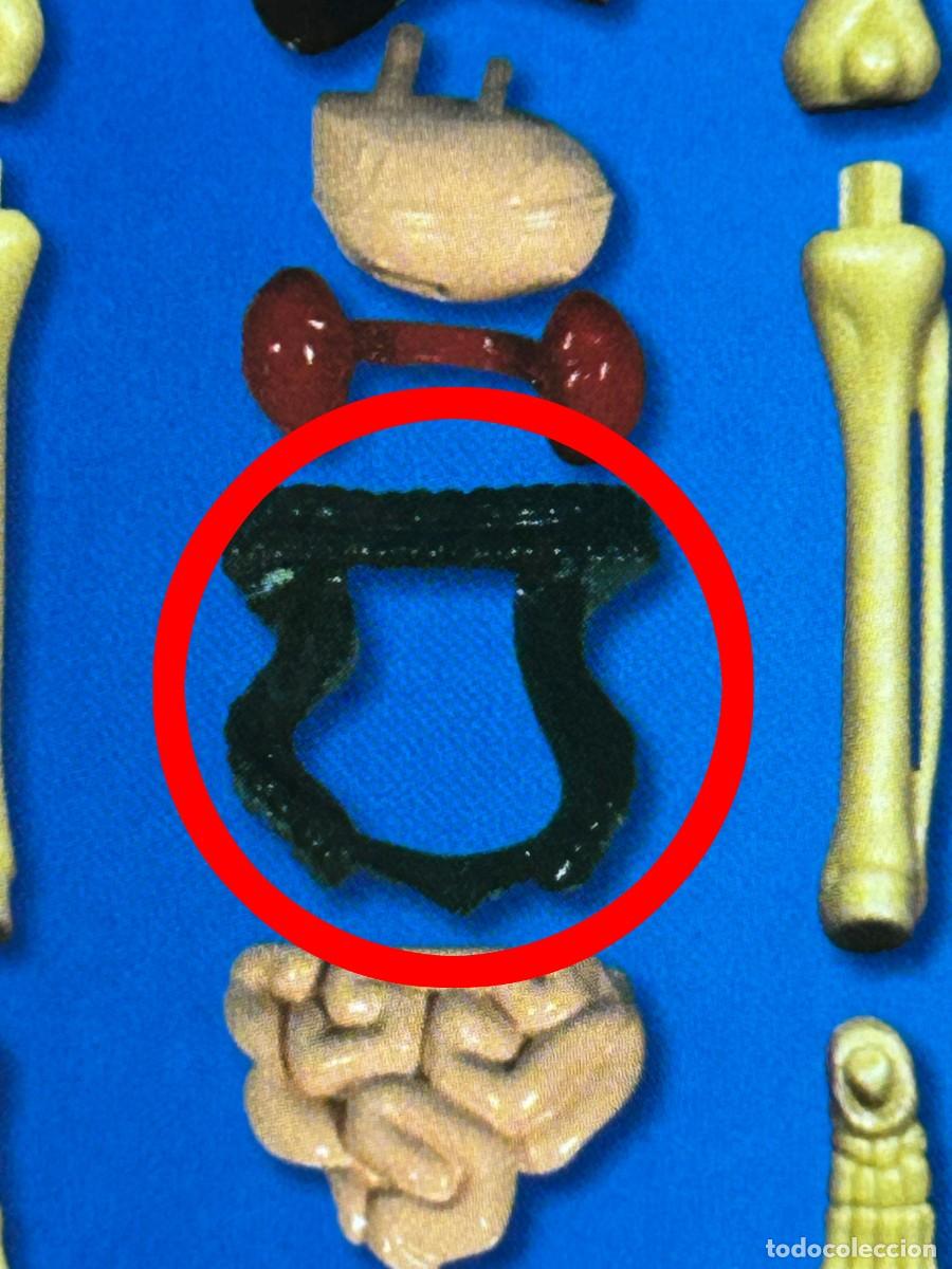 Juegos educativos: El Cuerpo Humano de Clementoni - Foto 7