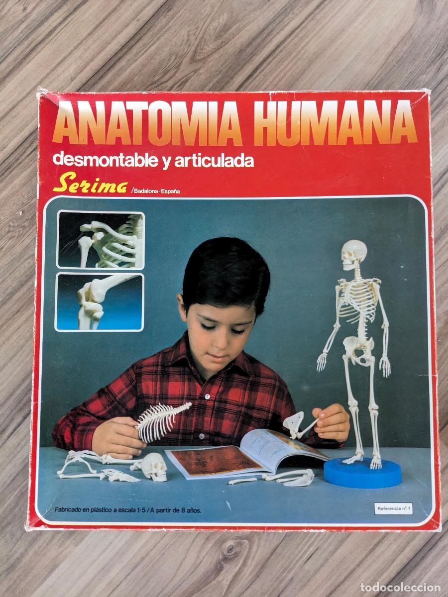 Juegos educativos: JUEGO EDUCATIVO &rdquo;ANATOM&Iacute;A HUMANA&rdquo;