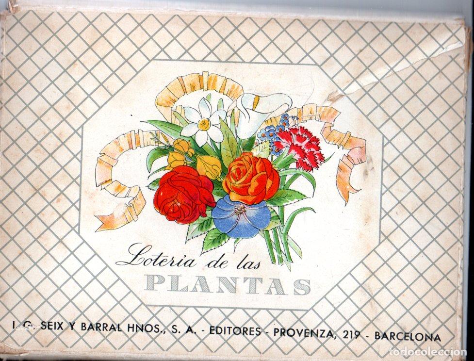Juegos educativos: LOTER&Iacute;A DE LAS PLANTAS SEIX BARRAL - COMPLETO