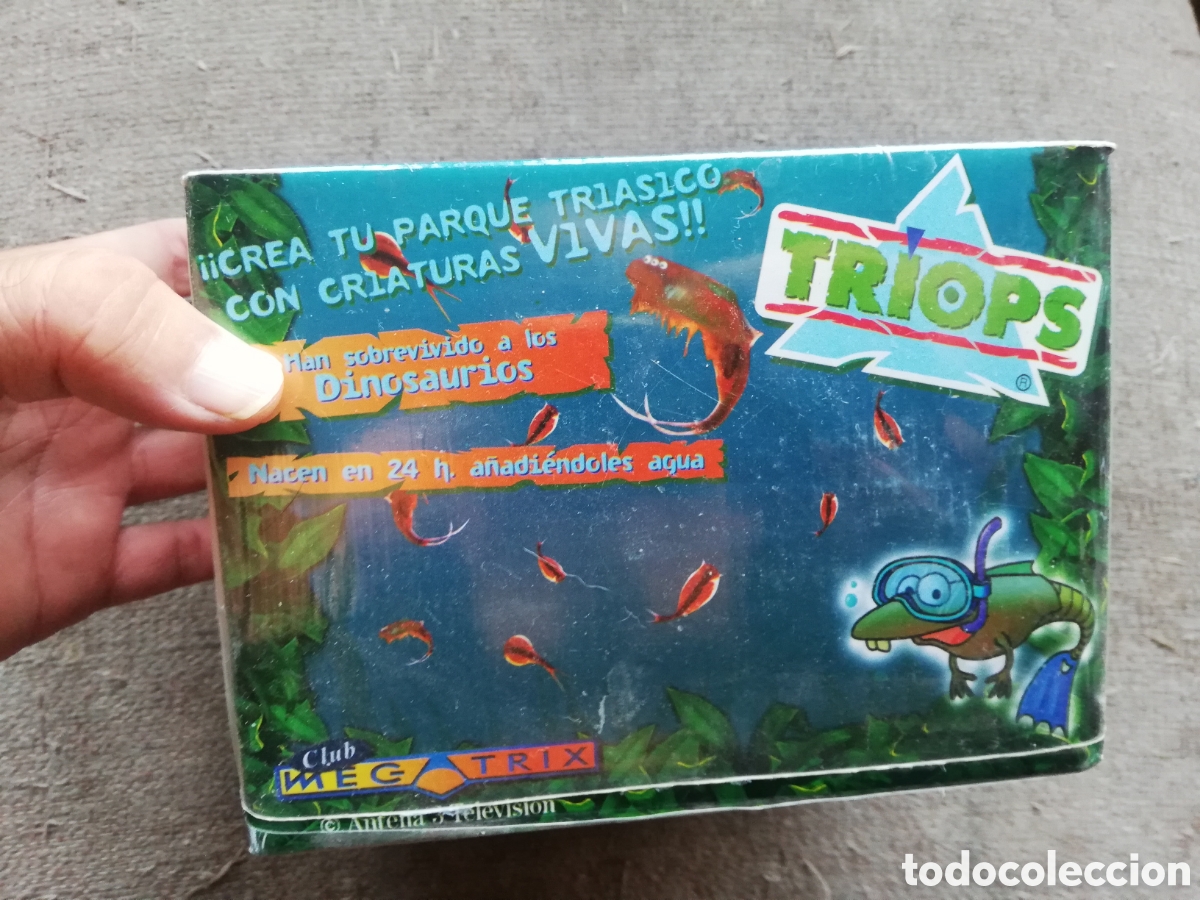 Jogos educativos: Caja con huevos de Triops. Club Megatrix. Antena 3 Televisi&oacute;n