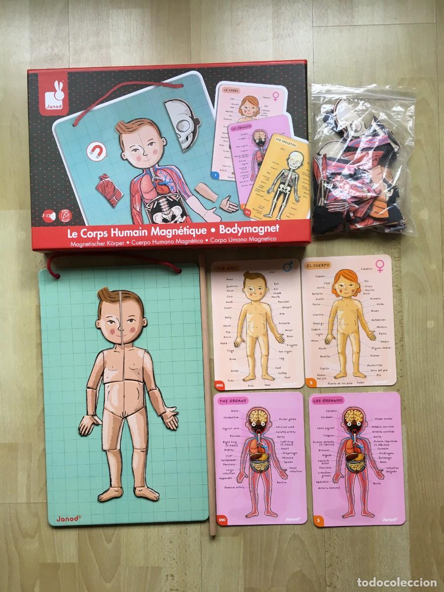 Juegos educativos: EL CUERPO HUMANO MAGN&Eacute;TICO JANOD