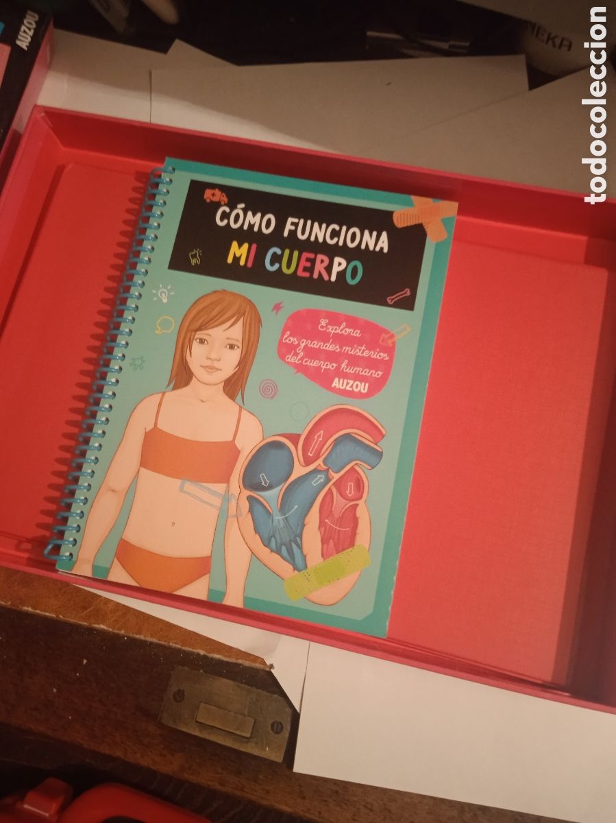 Juegos educativos: COMO FUNCIONA MI CUERPO COMPLETO - Foto 2