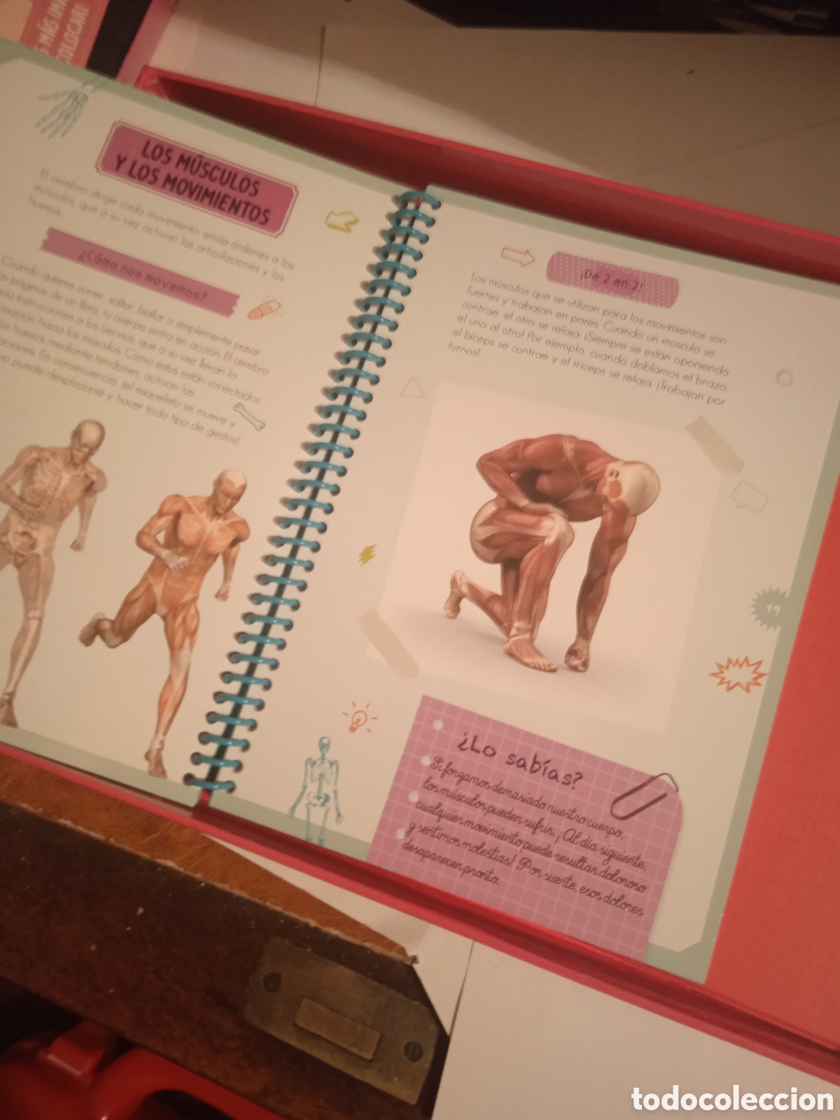 Juegos educativos: COMO FUNCIONA MI CUERPO COMPLETO - Foto 4