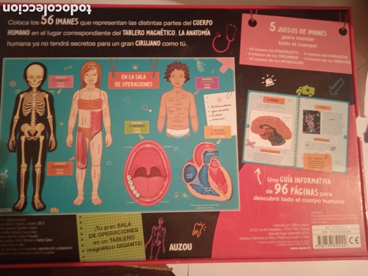Juegos educativos: COMO FUNCIONA MI CUERPO COMPLETO - Foto 5