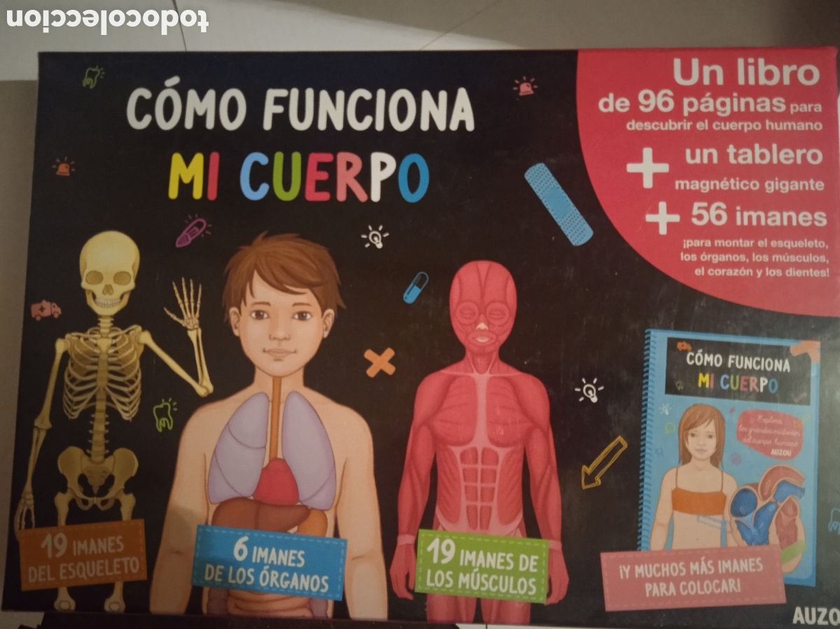 Juegos educativos: COMO FUNCIONA MI CUERPO COMPLETO