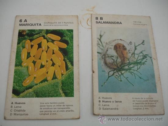 Juegos de mesa: DOS CARTAS DE JUEGOS EDUCA - Foto 1