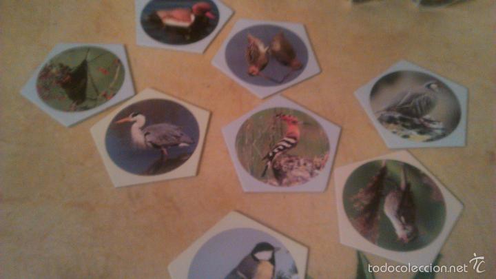 Juegos de mesa: dodo schweizerische vogelwarte 2001. juego de mesa. - Foto 5