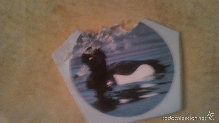 Juegos de mesa: dodo schweizerische vogelwarte 2001. juego de mesa. - Foto 7