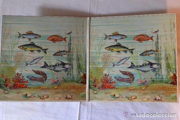 Juegos de mesa: Juego de mesa alem&aacute;n AQUARIUM - Foto 2