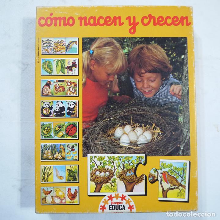 Juegos de mesa: C&Oacute;MO NACEN Y CRECEN - EDUCA - 1983 - Foto 1