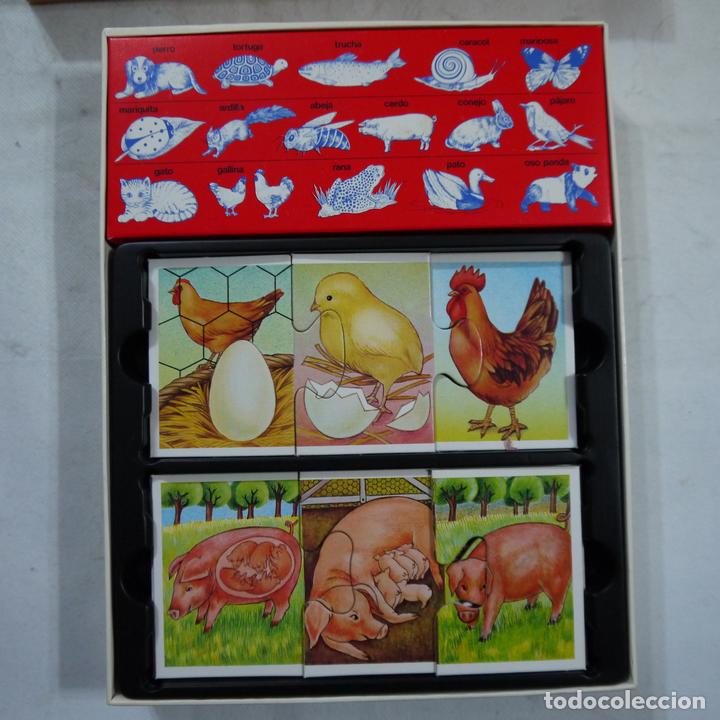Juegos de mesa: C&Oacute;MO NACEN Y CRECEN - EDUCA - 1983 - Foto 2