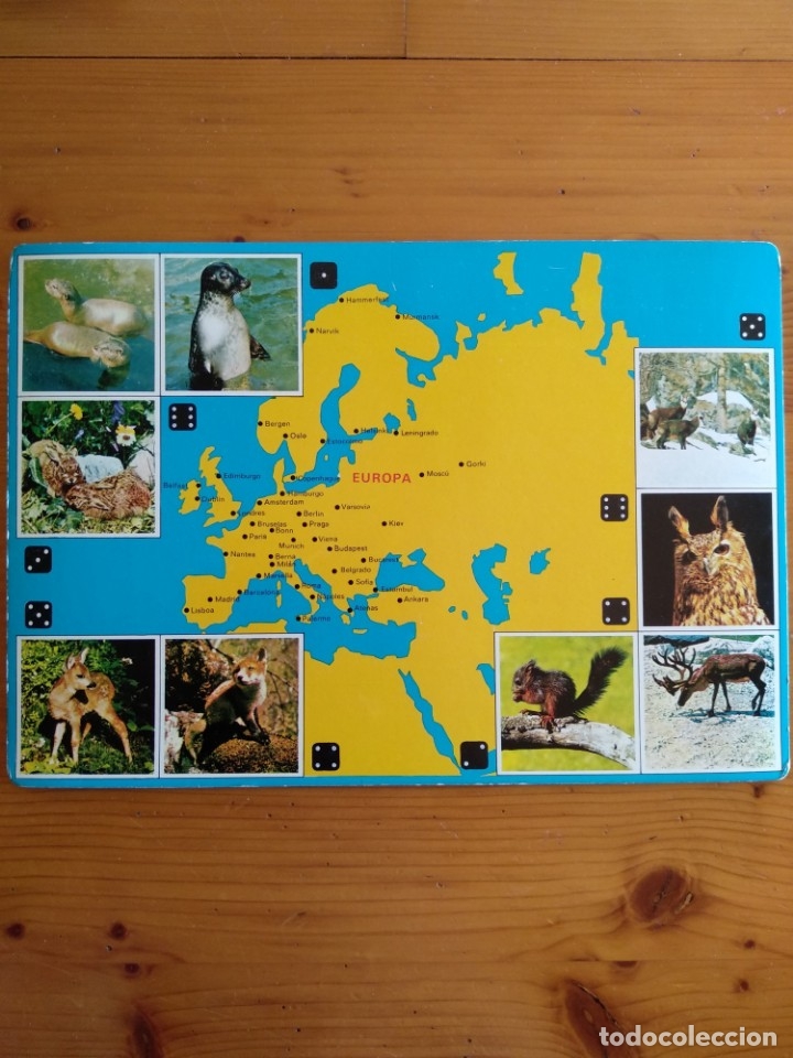 Juegos de mesa: EL GRAN JUEGO DE ANIMALES. EDUCA. - Foto 6