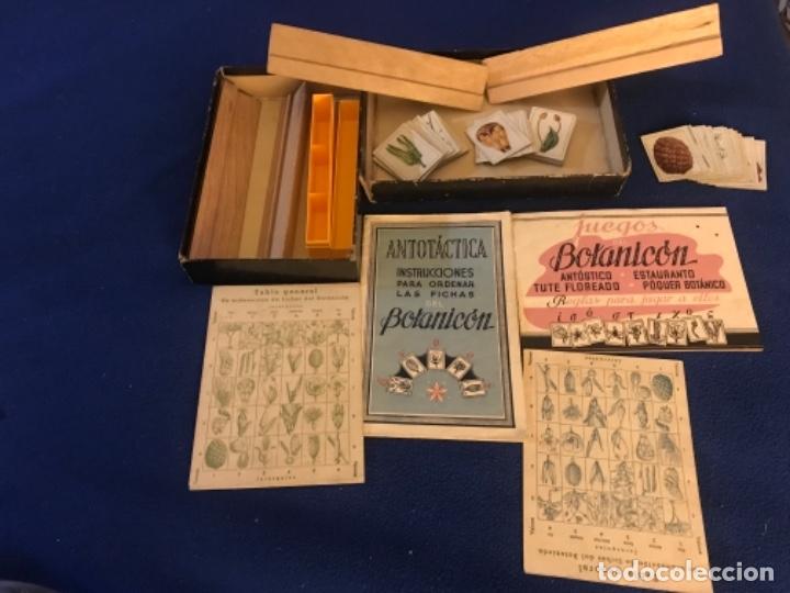 Juego De Mesa Botanica Anos 40 50 Botanicon Caj Kaufen Alte Brettspiele In Todocoleccion 196537055