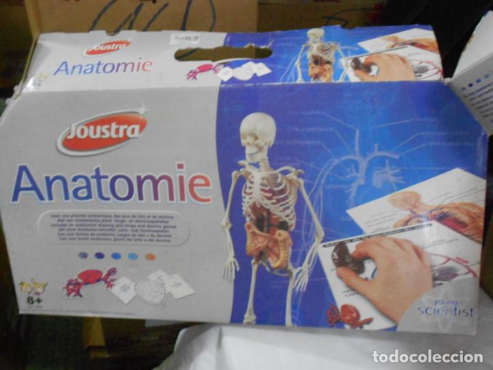 Juegos de mesa: JUEGO DE ANATOMIA - Foto 2