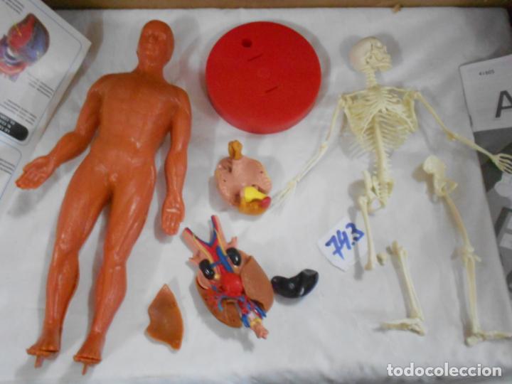Juegos de mesa: JUEGO DE ANATOMIA - Foto 3