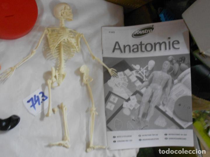 Juegos de mesa: JUEGO DE ANATOMIA - Foto 4