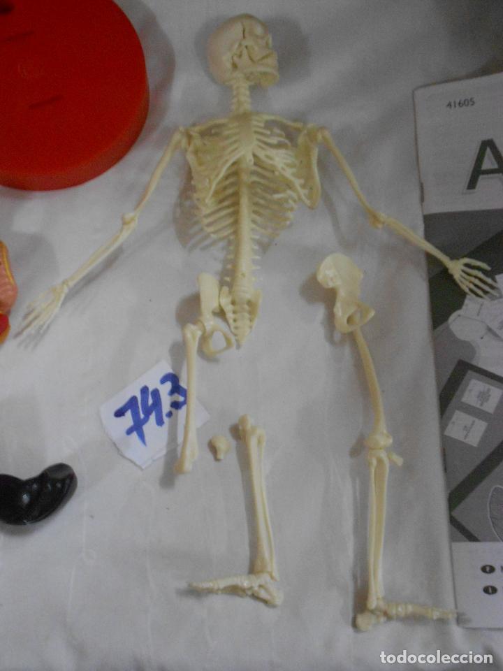 Juegos de mesa: JUEGO DE ANATOMIA - Foto 5