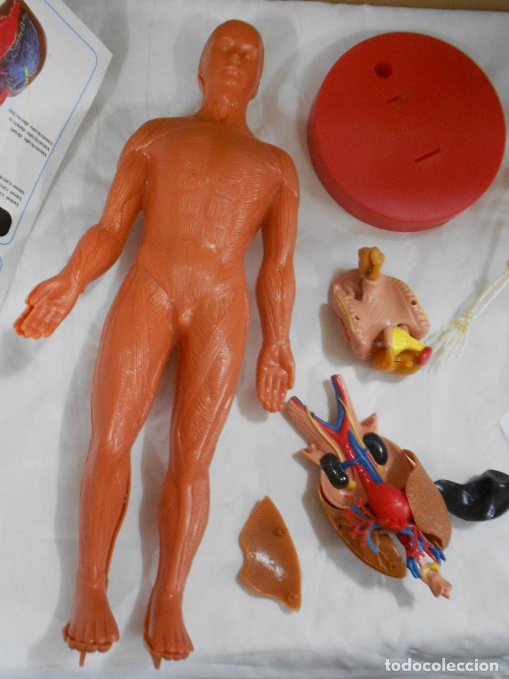 Juegos de mesa: JUEGO DE ANATOMIA - Foto 6