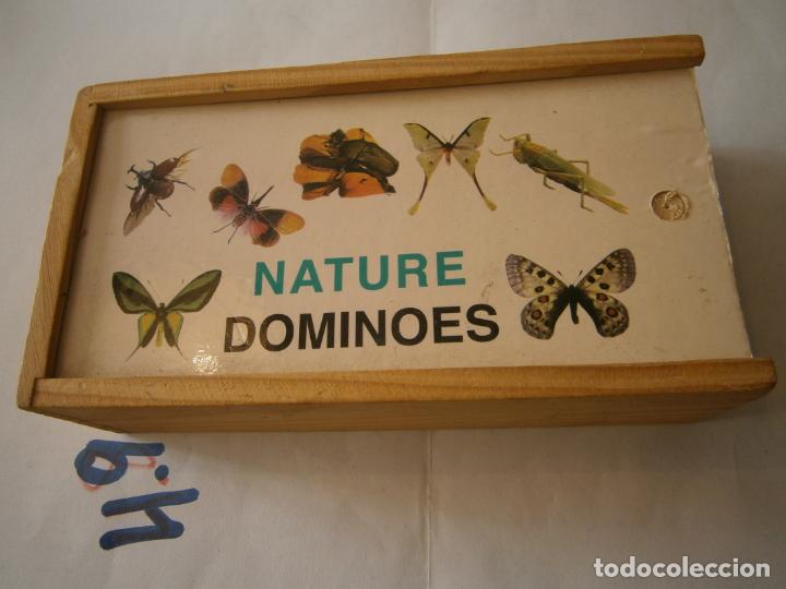 Juegos de mesa: ANTIGUO DOMINO DE INSECTOS - Foto 1