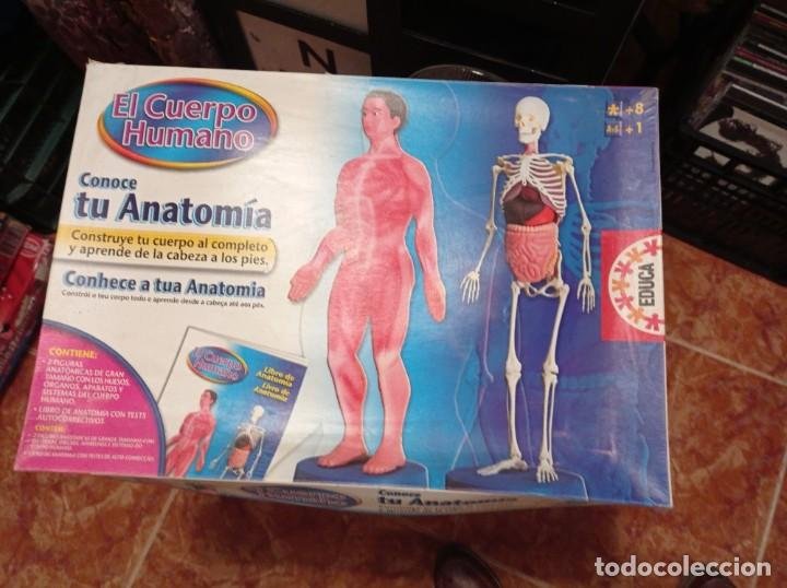 cuerpo humano desmontable 40 cm - Compra venta en todocoleccion