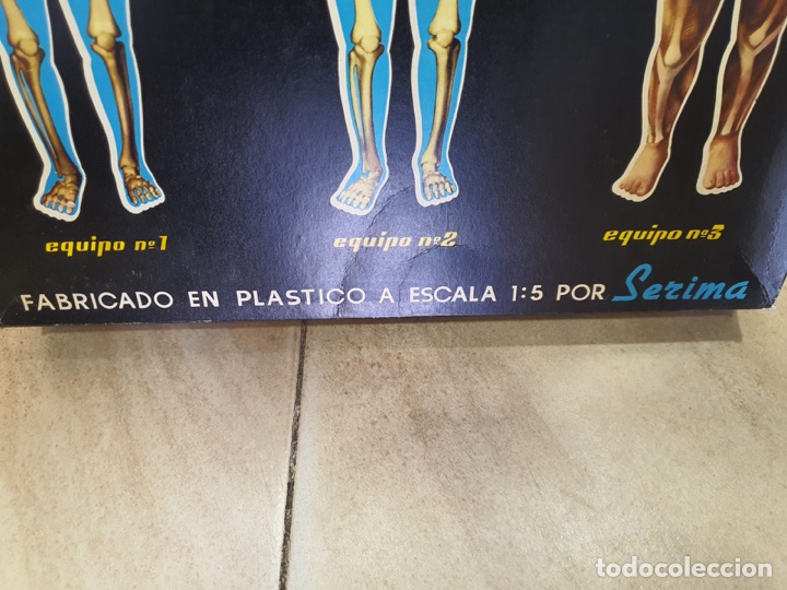 Juegos de mesa: Juego anatom&iacute;a humana - Foto 2