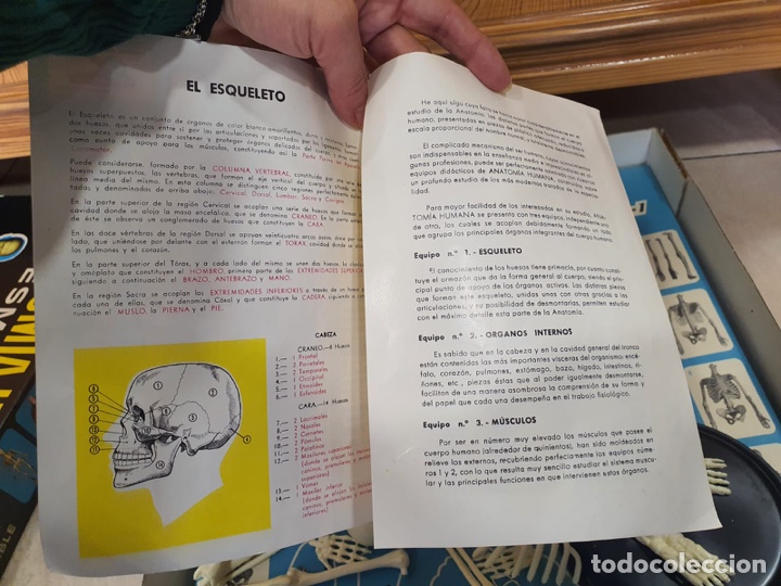 Juegos de mesa: Juego anatom&iacute;a humana - Foto 5