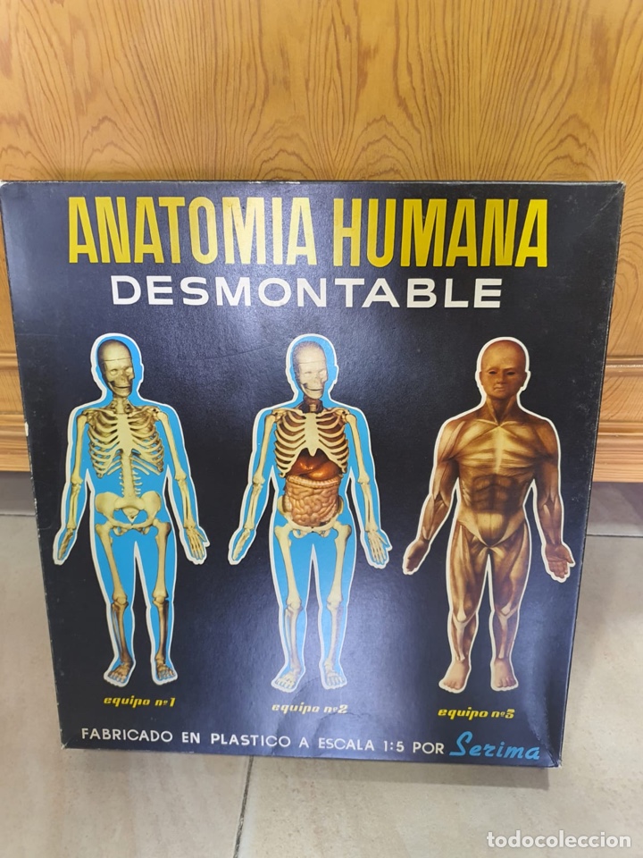 Juegos de mesa: Juego anatom&iacute;a humana - Foto 1