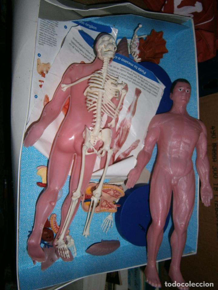 Juegos de mesa: ANTIGUO JUEGO - CONOCE TU ANATOMIA - Foto 2