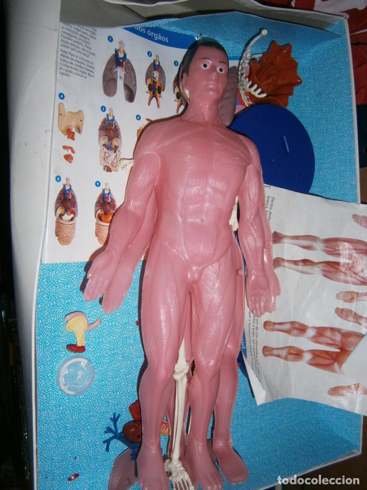 Juegos de mesa: ANTIGUO JUEGO - CONOCE TU ANATOMIA - Foto 3