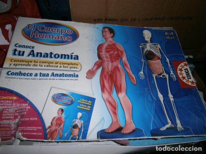 Juegos de mesa: ANTIGUO JUEGO - CONOCE TU ANATOMIA - Foto 1