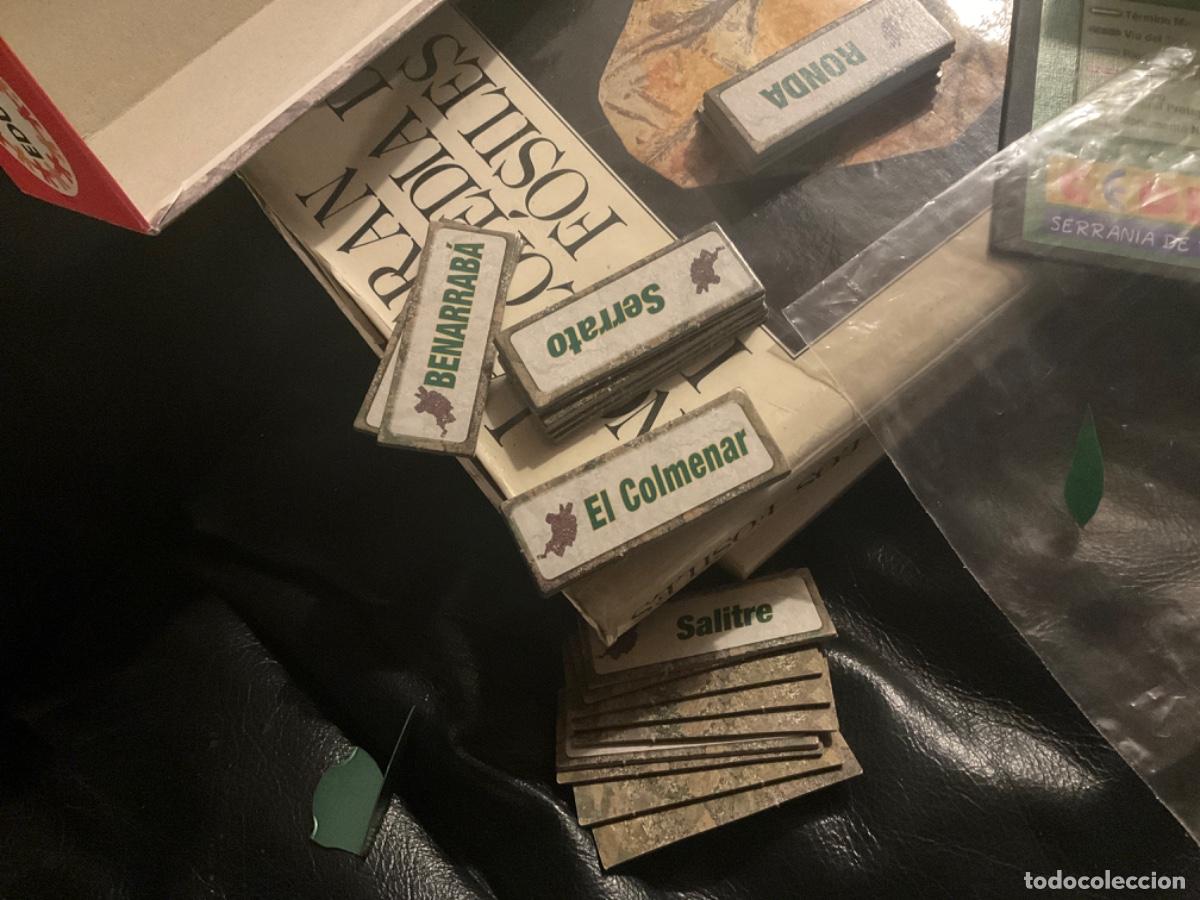Juegos de mesa: Juego de la serrania de Ronda ceder educa - Foto 9